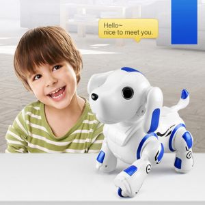 2020 New  2.4G Wireless toy kid any